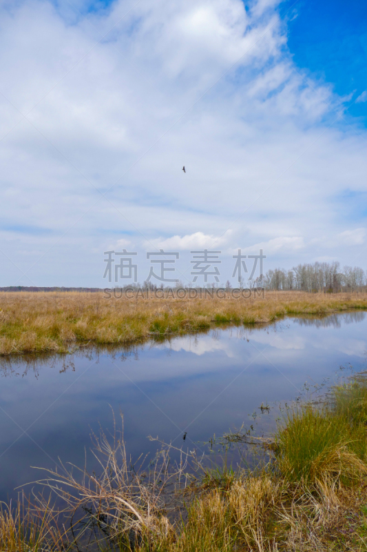 马塔穆斯基特湖,国家野生动物保护区,垂直画幅,水,天空,无人,鸟类,沼泽,户外,湖