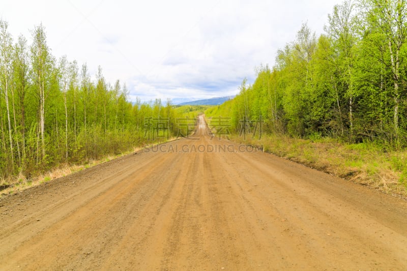 道尔顿高速公路,阿拉斯加,水平画幅,山,主干路,风险,户外,工业,田地,风景