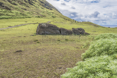 拉诺拉拉库,火山,国际著名景点,世界遗产,云,远距离,草,夏天,户外,天空
