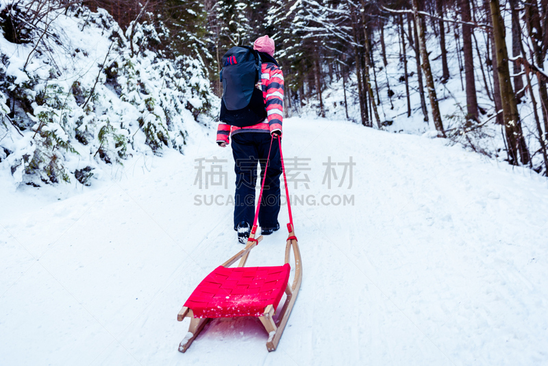 动物雪车,人,山路,树林,雪橇滑学,雪山,公园,水平画幅,进行中,雪