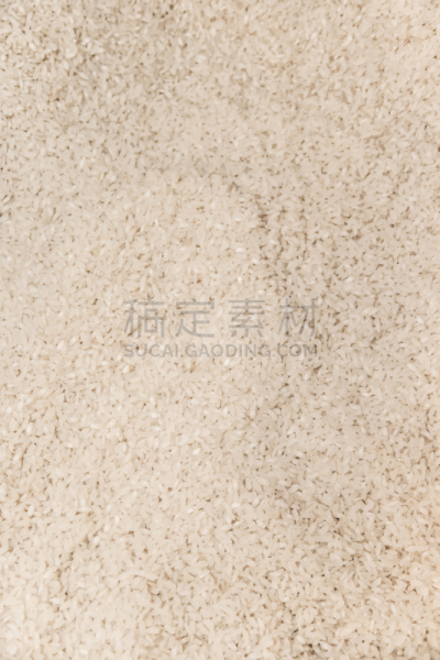 豆科植物,垂直画幅,货运,维生素,蛋塔,绿扁豆,豆,工业,商业金融和工业,烘豆