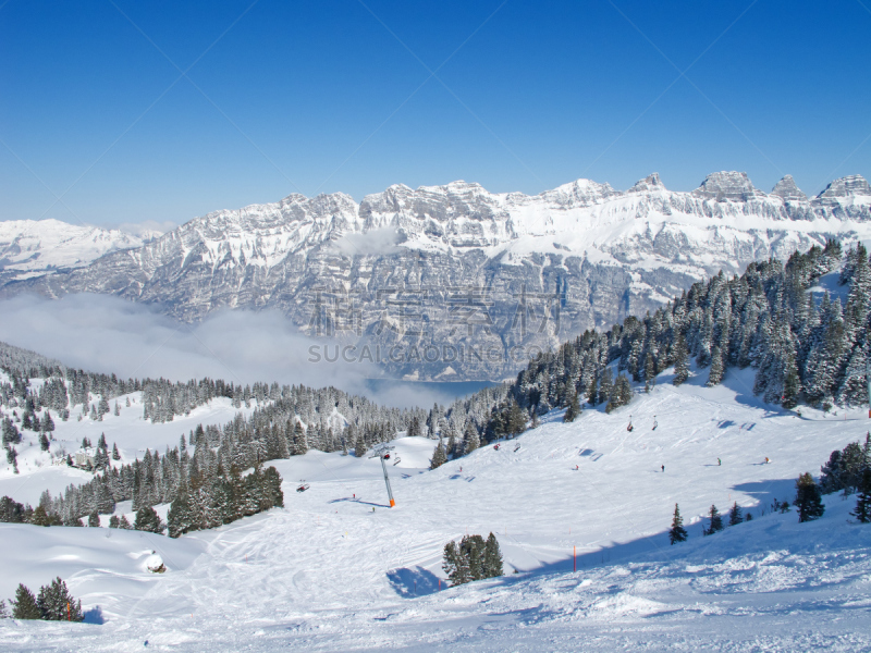 滑雪坡,水平画幅,山,雪,无人,树林,瑞士阿尔卑斯山,白色,冬天,阿尔卑斯山脉