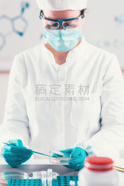 微生物学,实验室,成年的,手,科学家,化学家,女人,化学制品