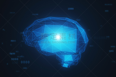 脑部,绘画插图,电子人,雾,数字化显示,二进制码,三维图形,右侧大脑半球,受体,突触