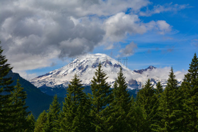 雷尼尔雪山,雨山国家公园,松树,美国,水平画幅,华盛顿州,无人,松科,户外,摄影