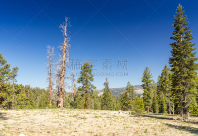 特纳娅湖,提欧嘎山口,马里波萨谷巨杉林,加利福尼亚内华达山脉,天空,休闲活动,水平画幅,高视角,山,雪