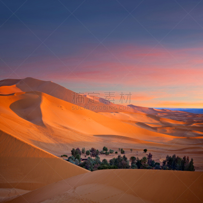 撒哈拉沙漠,摩洛哥,沙丘,北非,阿尔及利亚,沙漠绿洲,erg chebbi dunes,沙漠,风景,纳米比亚