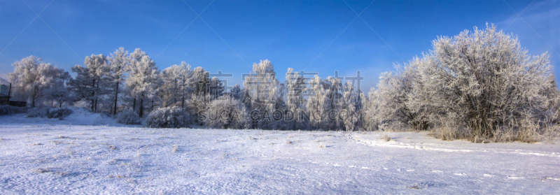 冬天,地形,霜,白昼,波兰,天空,林区,雪,曙暮光,园艺师