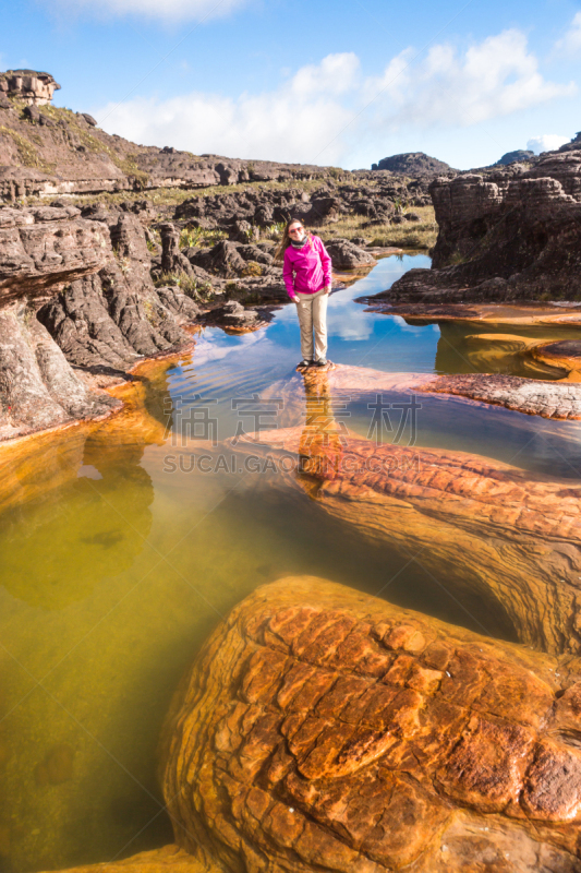 罗赖马山,平顶山区,罗赖马州,平顶山,canaima,委内瑞拉,垂直画幅,南美,无人,户外