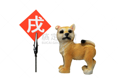 拿着,曲别针,笔记本,水平画幅,消息,新年,日本,白色背景,文字,狗年