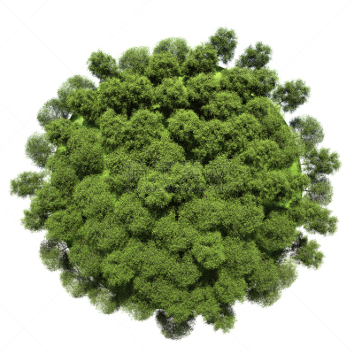行星,小的,植物群,树冠,枝繁叶茂,绘画插图,非凡的,树林,想法,球体