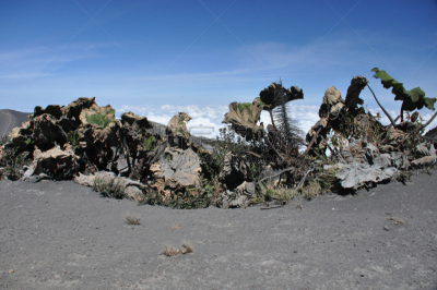 云,伊拉苏火山,哥斯达黎加,火山口,熔岩,磨脚石,边界,长椅,漏斗