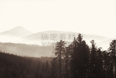 孚日省,自然,水平画幅,无人,阿尔萨斯,户外,野生植物,针叶树,山,2015年