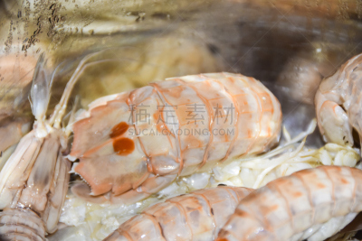 虾蛄,成分,大螯虾,沸腾的,牡蛎,水,水平画幅,膳食,海产