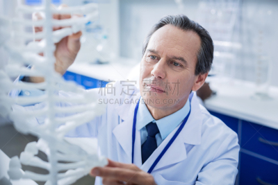 认真的,脱氧核糖核酸,男人,模型,看,智慧,水平画幅,基因组学,科学