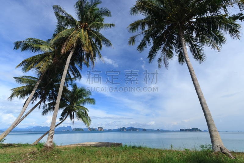 椰子树,海洋,瑶族,攀牙府,安达曼海,自然,旅游目的地,水平画幅,无人,早晨