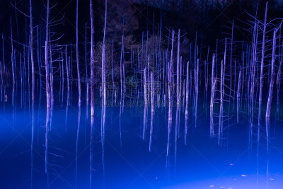 湖,美瑛町,正下方视角,照明设备,雪,水面,池塘,烙心蓝池,背景,秃树