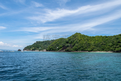 阿波岛,菲律宾,动物主题,海洋生命,热带气候,著名景点,棕榈叶,礁石,水生动植物,内格罗斯东方