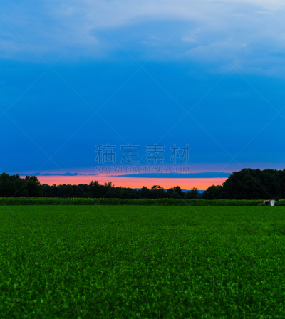 夏天,田地,哈德森谷,垂直画幅,天空,美,云,无人,草坪,曙暮光