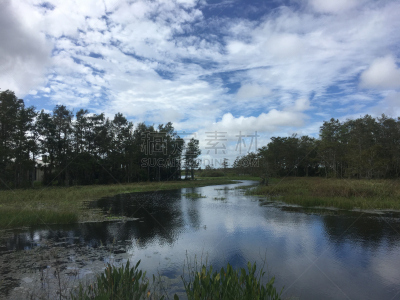 shore of the swamps and rivers of the marsh