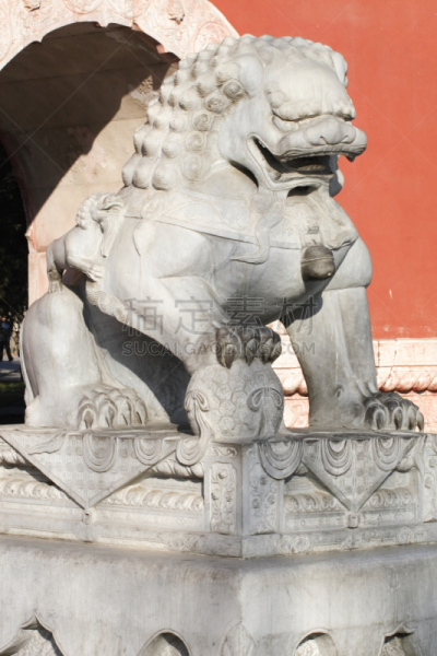 狮子,石材,垂直画幅,中国,爪子,动物身体部位,男性,摄影,尊敬
