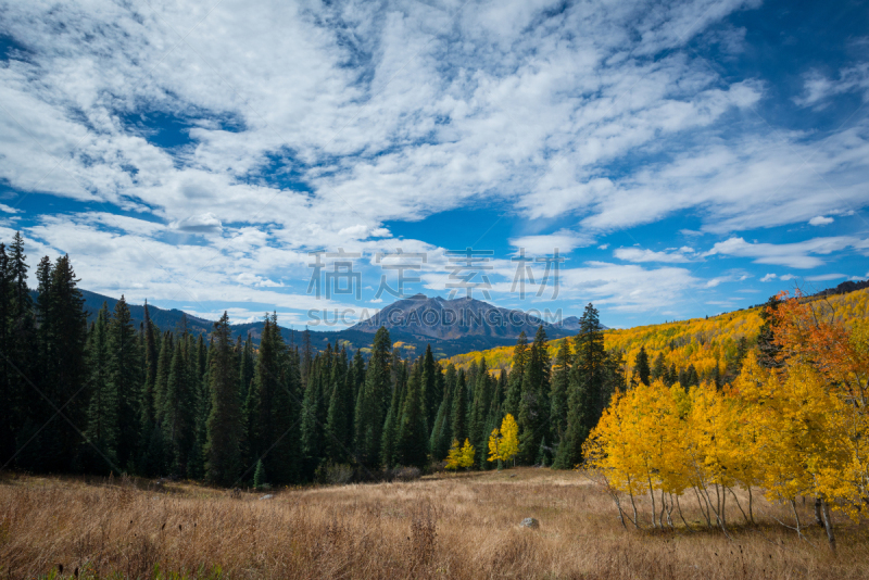 开普勒传球,刚尼森,西鹿山,克莱斯巴山,白杨类,阿斯彭,科罗拉多州,天空,美,水平画幅