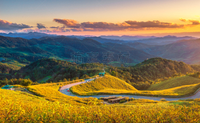 田地,铀,钳夹,居住区,天空,留白,夏天,仅一朵花,明亮