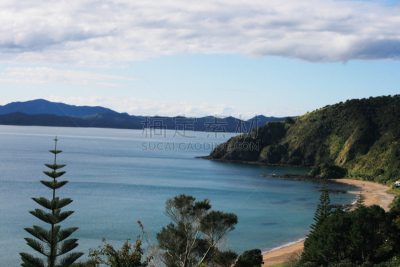 bay of islands,新西兰,海滩,两只动物,水,美,水平画幅,高视角,无人,偏远的