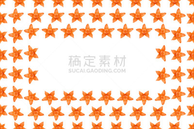 边框,橙色,酸浆属,背景,国境线,留白,空的,清新,背景分离,食品