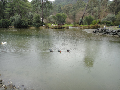 法塞利斯,凯梅尔,森林,雾,在之间,地中海,城市,海岸线,过去,城镇