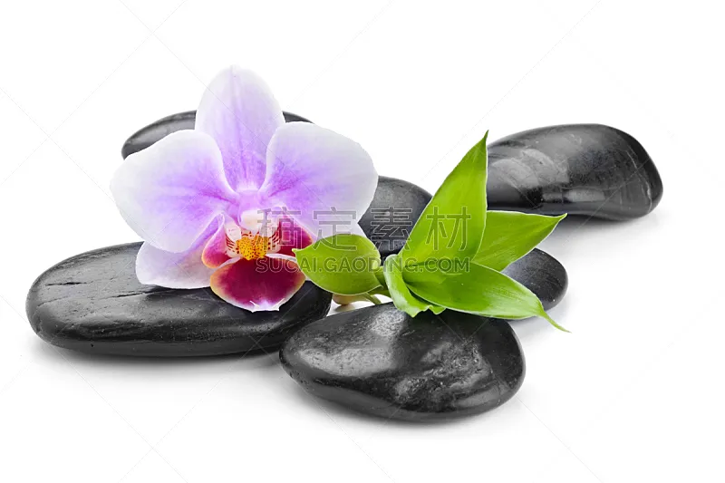 竹 兰花 白色背景 玄武岩立柱 分离着色 富贵竹 热石按摩 竹子叶 中医图片素材下载 稿定素材 竹 兰花 白色背景 玄武岩立柱 分离着色 富贵竹 热石按摩 竹子叶 中医图片素材下载 稿定素材