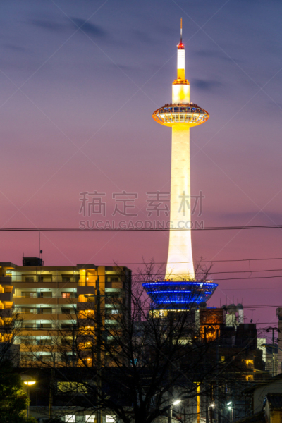 京都塔,公车站,垂直画幅,夜晚,无人,曙暮光,户外,都市风景,现代,京都市