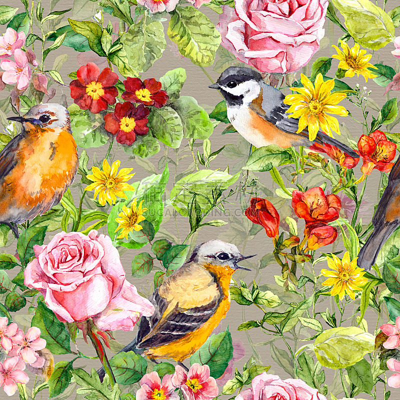 鸟类,草,草地,水彩画,花纹,仅一朵花,兰花,无人,绘画插图,夏天