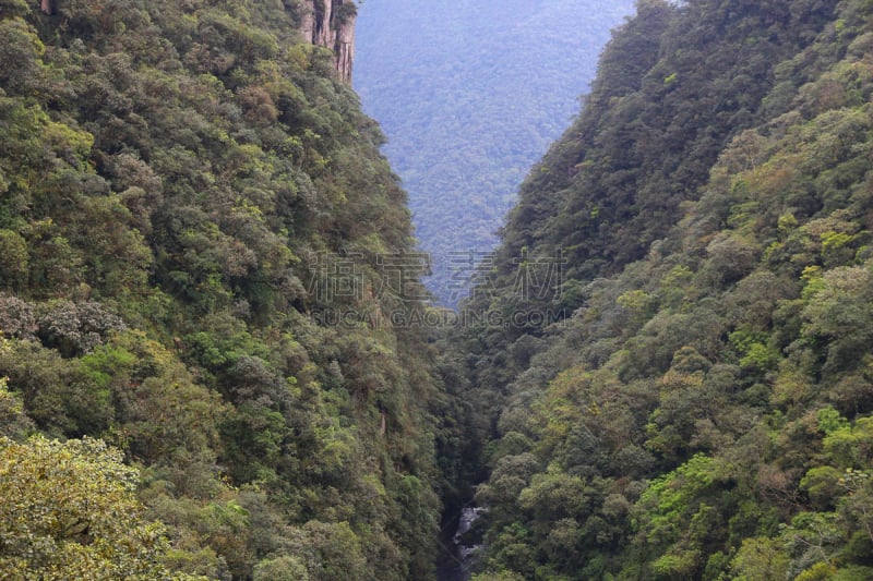 热带雨林,巴西,自然,南美,水平画幅,地形,无人,户外,巴拉那洲,美洲