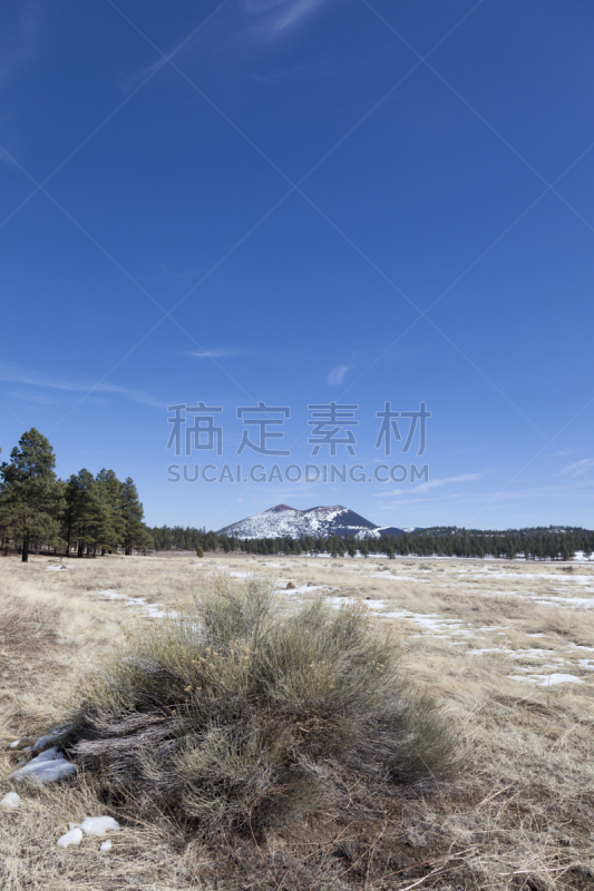 落火山渣锥,垂直画幅,天空,雪,无人,火山地形,户外,美洲,草,美国西南部