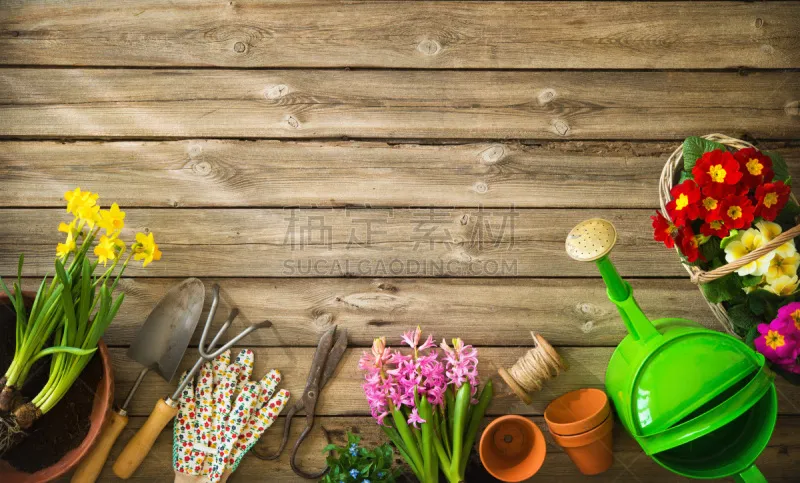 园艺 园艺器具 花坛 盆栽 三色紫罗兰 庭院 喷壶 风信子 园林 园艺手套图片素材下载 稿定素材