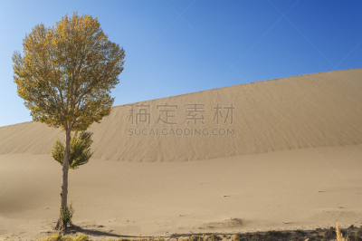 沙丘,寂寞,自然,水平画幅,山,沙子,无人,户外,干的