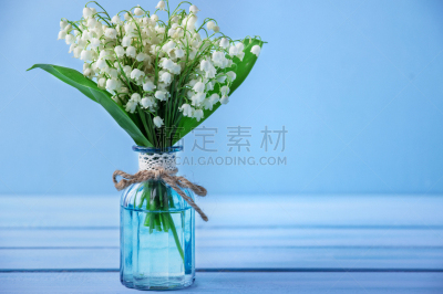 花束,木制,背景,铃兰,美,贺卡,留白,边框,水平画幅,枝繁叶茂