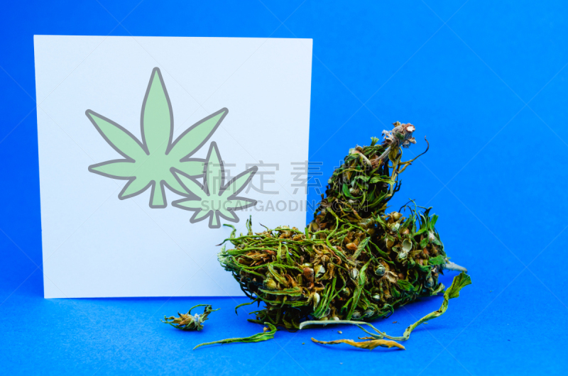 纸,式样,概念,花蕾,床单,手,纹理,自然界的状态,禁止的