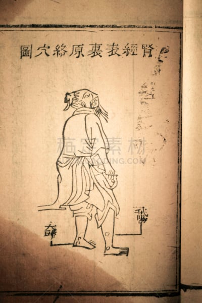 过时的,书,草药,清朝,垂直画幅,纹理效果,胶卷,古典式,书页,过去
