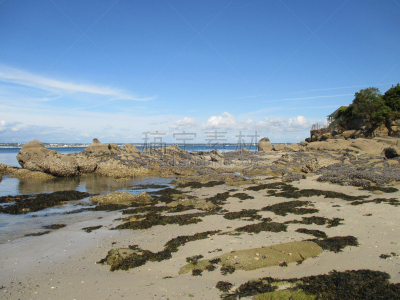 岩石,海岸线,海滩,海蚌,菲尼斯泰尔省,布列塔尼,贻贝,潮汐,天空,退潮