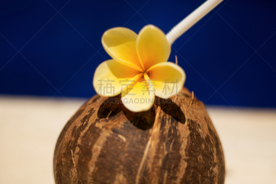 椰子,饮料,泳池边,黄色,水,美,坚果,度假胜地,水平画幅,沙滩派对