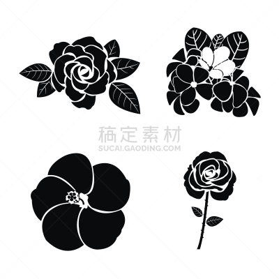 黑色,玫瑰,华丽的,部分,背景分离,美术工艺,肖像,复古风格,植物,夏天