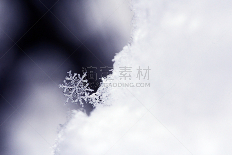 雪花,寒冷,环境,雪,冰河时代,天气,户外,冰帽,水的凝结形态,冰