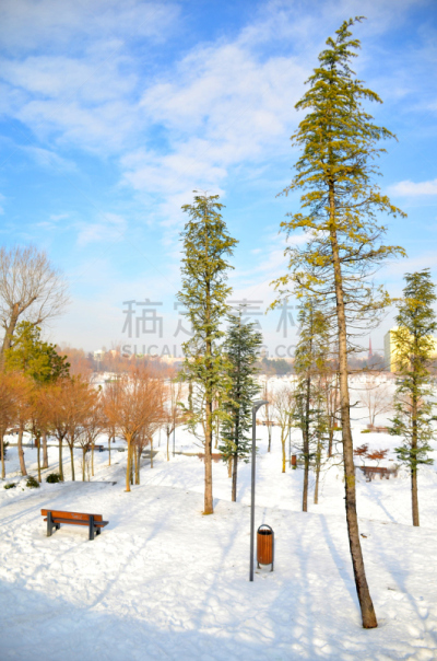 雪,冬天,地形,垂直画幅,美,美人,户外,白色,十二月,山