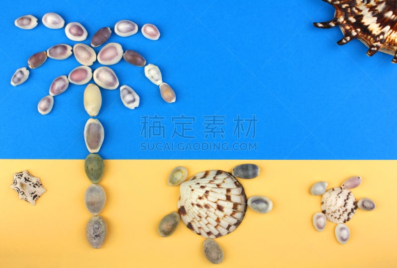 棕榈树,海滩,海龟,太阳,绘画艺术品,贝壳,鸡尾酒,紫贝,奇形怪状的,蛤