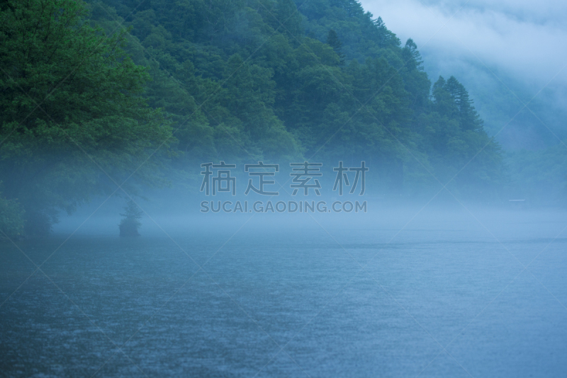 湖,雨,雨季,水,美,水平画幅,无人,早晨,夏天,沼泽
