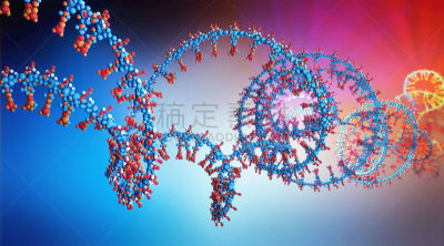 部分,脱氧核糖核酸,核糖核酸,链,绘画插图,三维图形,生物学,螺旋,健康保健,螺线
