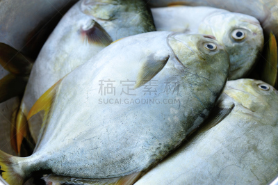 特写,清新,容器,水,水平画幅,无人,生食,膳食,海产,肉
