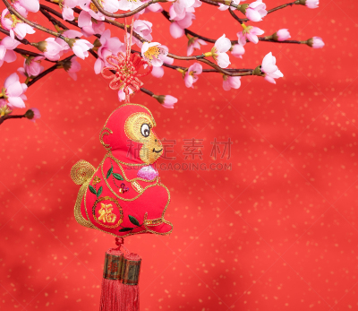 2016,福字,传统,残酷的,汉字,猴年,梅花,符号,性格,十二宫图